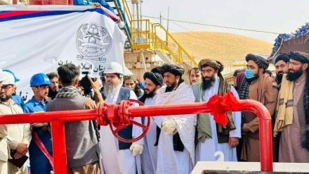  وزارت معادن و پترولیوم: افغانستان به تولیدکننده تیل تبدیل شده است