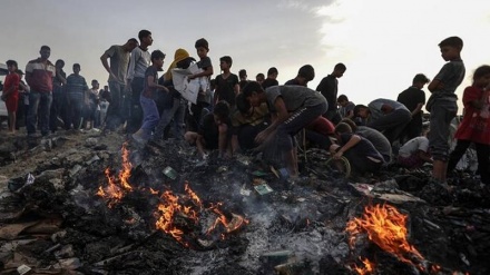 Zëdhënësja e OBSH-së: Nuk ka vend të sigurt në Gaza