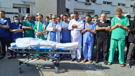 Martirizohen 500 vetë personel mjekësor që nga fillimi i luftës kundër Gazës