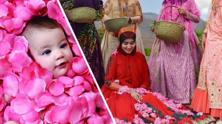 Land der Rosen und des Rosenwassers / Ein Blick auf die Rosenwasserherstellung in Iran