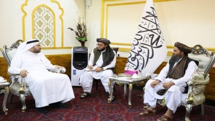 وزیر خارجه قطر: طالبان در نشست دوحه اشتراک کنند