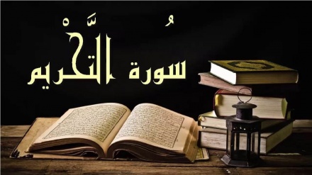  Quran Quest (429)