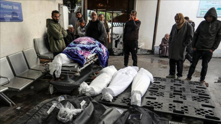 Krim i ri i sionistëve në Rafah/Më shumë se 40 dëshmorë dhe dhjetëra të plagosur nga bombardimet e tendave të personave të shpërngulur