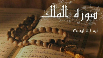  Quran Quest (427)