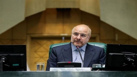 رئیس مجلس ایران: توحش صهیونیستی در رفح باید متوقف شود