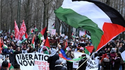 Dhjetëra mijëra punonjës të Universitetit të Kalifornisë mbështesin studentët anti-sionistë