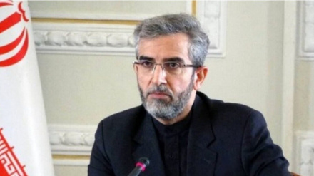Əli Baqiri Kəni: Beynəlxalq Ədalət Məhkəməsinin qərarları dərhal icra edilməlidir