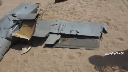 החות'ים: הפלנו כטב