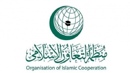 درخواست سازمان همکاری اسلامی برای شناسایی کشور مستقل فلسطین