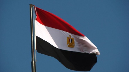 Egjipti i bashkohet padisë së Afrikës së Jugut kundër Izraelit