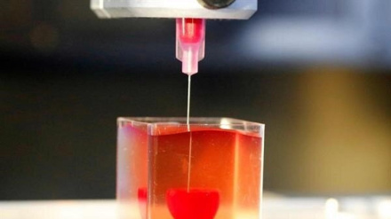 Изготовление золотого каркаса для инжениринга сердечной ткани иранскими исследователями