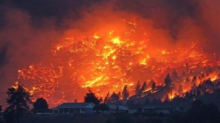 Zjarret në Kanada kanë detyruar mijëra njerëz të braktisin shtëpitë e tyre