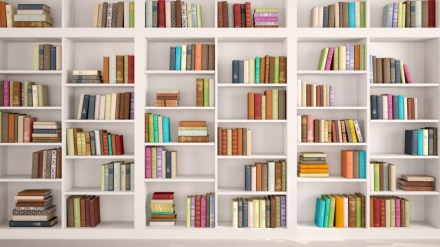  Bookshelf (381)