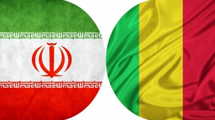 Iran to help Mali train AI manpower