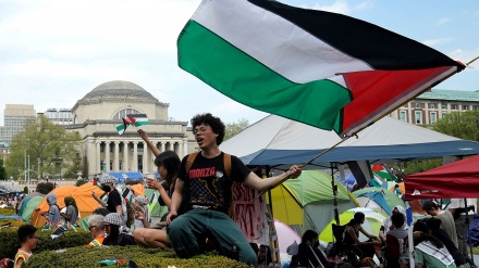 Protestat e mbështetësve të Palestinës në universitetet amerikane/Foto