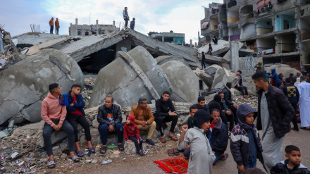 Представитель ливанской 