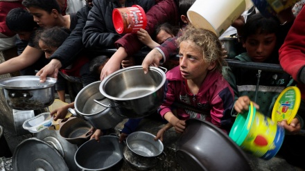 UNRWA paralajmëron: Ushqimi në jug të Gazës do të mbarojë sot