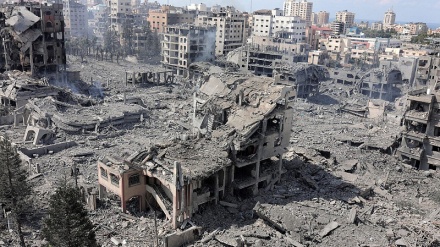 Мученическая смерть более 100 профессоров университетов во время нападений сионистского режима на сектор Газа