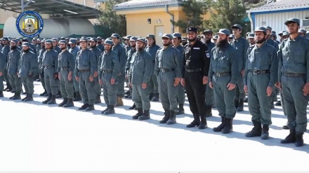 فراغت ۳۳۵ تن از نیروی آموزش دیده از مرکز تعلیم پلیس کابل