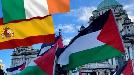 אירלנד, ספרד ונורבגיה צפויות להכיר במדינה פלסטינית