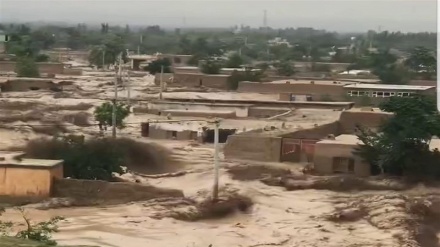 افزایش آمار جان باختگان سیلاب‌های مرگبار در افغانستان؛ شمار تلفات به ۲۴۰ نفر رسید