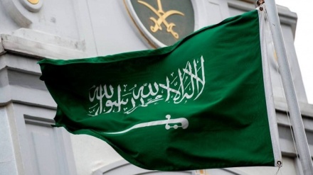 סעודיה ומצרים בירכו על הכרזות ההכרה במדינה הפלסטינית