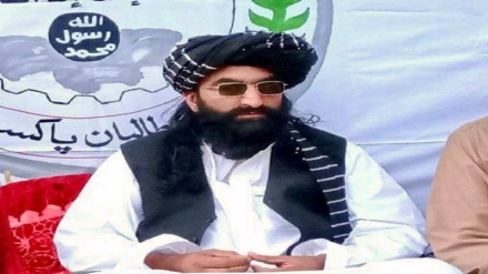 وزیر داخله پاکستان: حکومت طالبان «نور ولی محسود» را به اسلام آباد تحویل دهد
