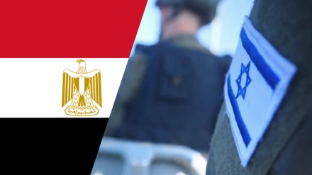 Продолжение деятельности египетских карательных групп по выявлению и удалению израильских военных
