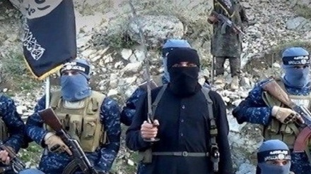 داعش مسئولیت حمله تروریستی هرات را برعهده گرفت