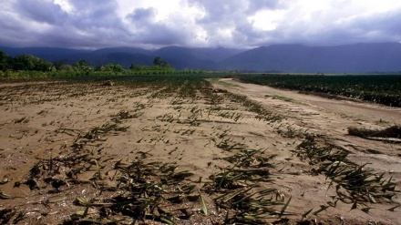 FAO: Hatua za kupunguza athari za El Nino kwa usalama wa chakula zimezaa matunda