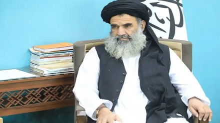 انتقاد تند وزیر معارف طالبان از عملکرد برخی مقامات حکومتی