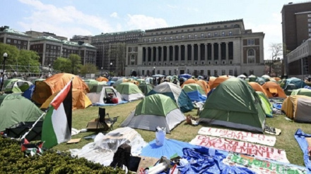 Университет Нью-Йорка пригрозил отстранить студентов