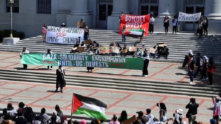 סטודנטים אירים הצטרפו להפגנות הפרו-פלסטיניות ברחבי העולם
