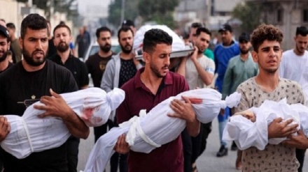 کنگره آمریکا اعلام آمار قربانیان غزه را ممنوع کرد  