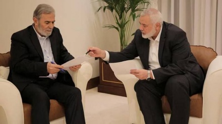 Hamasi i dorëzon Katarit përgjigjen e rezistencës ndaj planit të armëpushimit