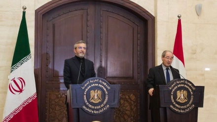 Багери: Иран и Сирия являются основными столпами стабильности в регионе