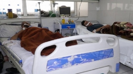 افزایش آمار مبتلایان به «تب کریمه کنگو» در آستانه عید قربان در افغانستان