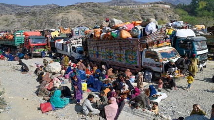 بیش از سه هزار مهاجر افغان در یک روز از ایران و پاکستان وارد افغانستان شده‌اند