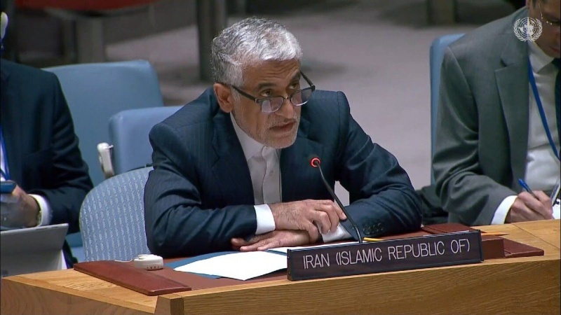 Iran's serious support for combating illegal small arms trade