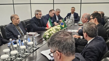 Консультация между исполняющим обязанности министра иностранных дел Ирана и министром иностранных дел Бразилии 