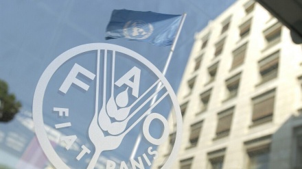 FAO-nun gündəliyi İranı region ölkələrinin ərzaq təhlükəsizliyi mərkəzinə çevirməkdir