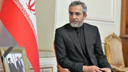 Акцент Ирана на практических действиях исламских стран по прекращению преступлений Израиля