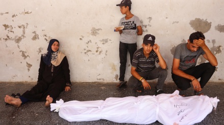 Martirizohen 8 palestinezë në sulmin ajror të regjimit sionist në veri të Gazës