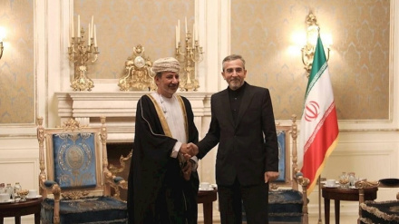 Bagheri Kani: Iran ina azma ya kuendeleza sera za ujirani za Ebrahim Raisi
