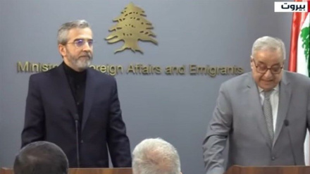 باقري: د ایران او لبنان نږدې اړیکې په سیمه کې د ثبات اصلي نښه ده