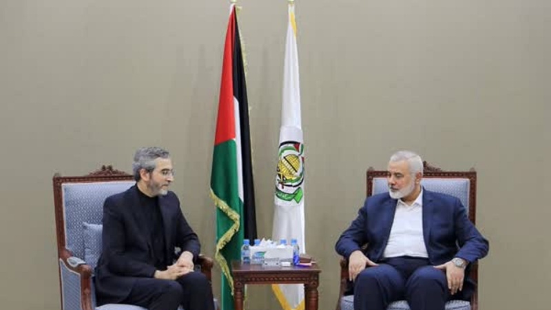 تحولات غزه، محور رایزنی سرپرست وزارت خارجه ایران با اسماعیل هنیه در قطر