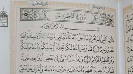  Quran Quest (431)