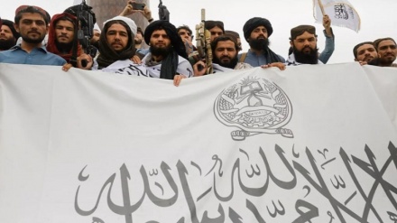 طالبان: حکومت فراگیر فساد آور است