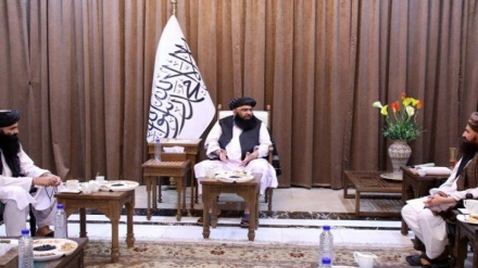 طالبان: بسیاری از کشورها علاقمند توسعه روابط با افغانستان هستند