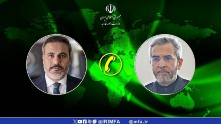 İran və Türkiyə İsrail rejiminin Qəzzədə törətdiyi cinayətləri müzakirə etdi